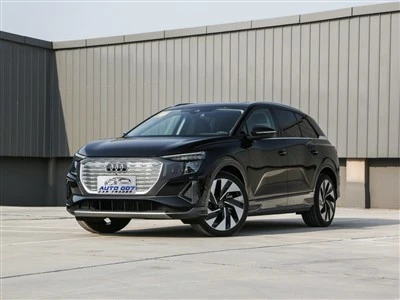 Cotxe elèctric Audi Q5 E-tron